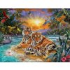 Norimpex Diamantové maľovanie Tigria rodinka 30 x 40 cm