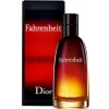 Christian Dior Fahrenheit, Toaletná voda 100ml - Tester pre mužov