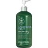 Paul Mitchell Kondicionér pro suché a nepoddajné vlasy Tea Tree Lavender Mint (Moisturizing Conditioner) Objem: 300 ml
