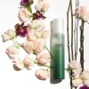 Haruharu Wonder Hydratačná pleťová hmla s čiernym bambusom - Black Bamboo Hydrating Face Mist - 150 ml