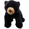 Medveď čierny plyšový 21cm