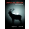 Zvířata na silnicích - Michal Bíl, Tomáš Bartonička
