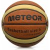 Meteor 10101