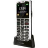 Beafon Sl260