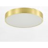 LED stropné svietidlo 50 cm 2400lm 3000-6000K zlaté Zuma Line NADI MS724-R500-GD