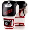 Boxerské rukavice BUSHIDO DBD-B-2v3 Veľkosť: 12 oz