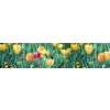 Fototapeta Dimex Tulipány KI260-122 | 260 x 60 cm (Samolepiace fototapety na linku)