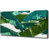 Foto obraz na plátne Lístie banánovníka 100x50 cm