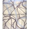 Brice Marden. Cold mountain