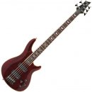 Schecter Omen Extreme 5