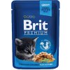 Brit Premium Cat Pouch Chicken Chunks for Kitten 100 g