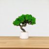 Bezúdržbový miniatúrny bonsai 17 cm. so stabilizovaným machom