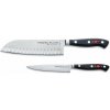 F. Dick Súprava nožov Premier Plus 2 ks