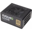 Evolveo 650W E-G650R