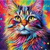 NORIMPEX Diamantové maľovanie Portrét farebného mačiatka 30 x 40 cm