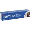 Dentihex 2mg/g pasta pre psy a mačky 20g