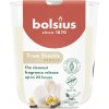 Bolsius Sviečka True Scents, vanilka, 80x73 mm, v skle