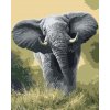 Amparo Miranda® Maľovanie podľa čísiel Africký slon