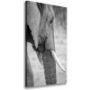 Vertikálny foto obraz tlačený na plátne Slon 50x100 cm