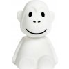 Mr Maria MONKEY lampa First Light