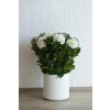 eshop-kvetinace.sk Umelá hortenzia HYDRANGEA v bielom kvetináči, výška 90 cm, modro - biela