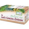 FYTO Bylinný čaj NA PAMÄŤ s ginkgom a ženšenom 20x1,25 g