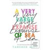 A Very Large Expanse of Sea (Tahereh Mafi)