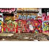 DIMEX fototapeta Grafity z ulice MS-5-0321 - 375 x 250 cm (150g VLIES - LEPIDLO ZADARMO)
