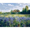 ZUTY Maľovanie podľa čísel - DOM NA VIDIEKU Rámovanie: bez rámu a bez vypnutia plátna, Rozmer: 80x100 cm