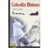 Colmillo Blanco (Jack London,Enrique Flores,Mar Hernández de Felipe)(Brožovaná)