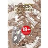 Princezna z Nekonečného hradu - Šintaró Kago