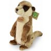 Plyšové surikata 24 cm ECO-FRIENDLY