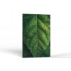 Príroda Životná sila prírody | Obrazy Vintessia Rozmery obdĺžnik: 30x45