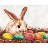ZUTY Maľovanie podľa čísel KRÁLIK A FAREBNÉ VAJÍČKA Rámovanie bez rámu a bez vypnutia plátna Rozmer 80 x 100 cm