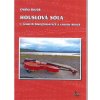 Houslová sóla v českých bluegrassových a country hitech – Ondra Kozák
