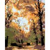 ZUTY Maľovanie podľa čísel - JESENNÉ STROMY Rámovanie: vypnuté plátno na rám, Rozmer: 80x100 cm