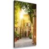Vertikálny foto obraz na plátne Talianske uličky 50x100 cm