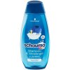 Schauma šampón a sprchovací gél Kids s extraktom z čučoriedky 400 ml