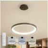 | Brilagi - LED stmievateľný závesný luster na lanku FALCON SLIM LED/42W/230V pr. 50 cm čierna +DO | BRDX1330-500/CR