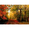 Norimpex Diamantové maľovanie Jeseň v lese 30 x 40 cm
