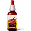 Dračia krv Cordyceps 50ml