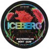 Iceberg watermelon mint gum 32,5 mg vrecúško 20 vrecúšok
