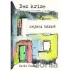 Bez krize nejsou básně - David Blažek