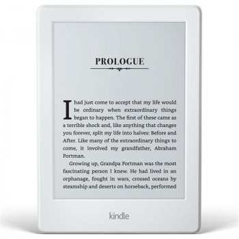 Amazon Kindle 8 Touch