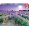 Puzzle Bike in a Lavender Field Educa 1000 dielov a Fix lepidlo