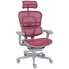 Grospol - Kancelárske kreslo Ergohuman 2 Elite GS Pink