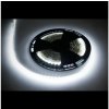 LED pásik 25m Rebel (1500x5050 SMD) studená biela, 12V