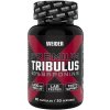 Weider Premium Tribulus 90% Saponins 90 kapslí