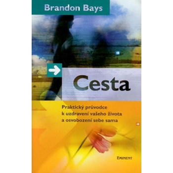 Cesta - Brandon Bays