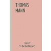 Smrť v Benátkach - Mann Thomas